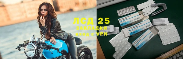 спиды Алексеевка