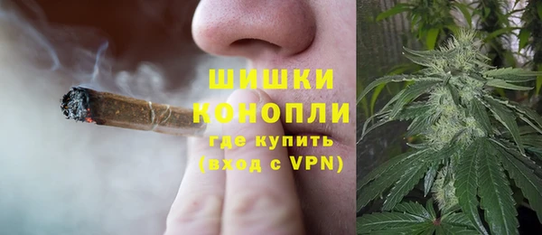 spice Аркадак