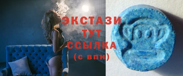 молекула духа Арсеньев