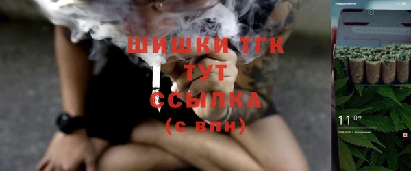 молекула духа Арсеньев