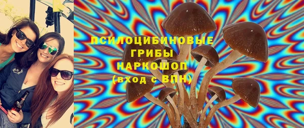 сатива Алзамай