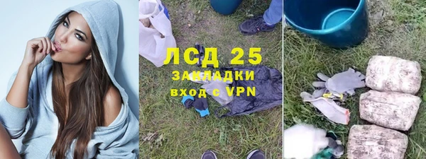 сатива Алзамай