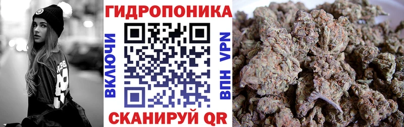 Бошки марихуана сатива  Бабаево 
